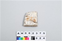 藏品(小型磨製玉錛)的圖片